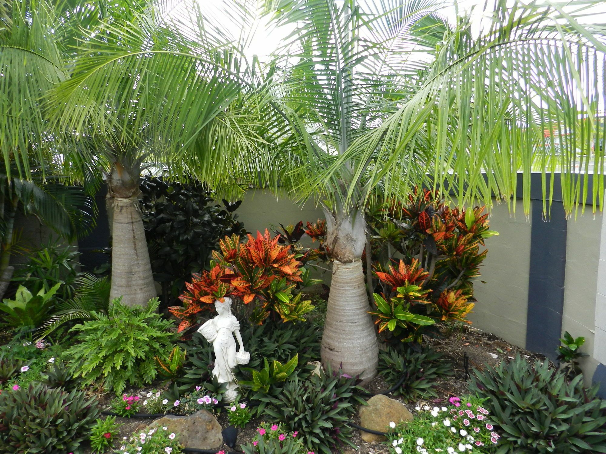 Golden Palms Motor Inn Bundaberg Exterior foto
